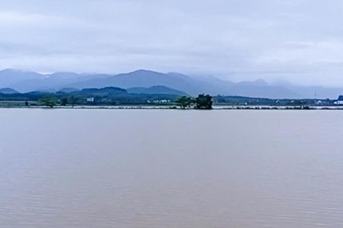 Mưa 'trút nước' ven sông La Ngà