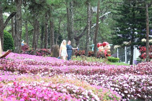 Chờ đón một Festival Hoa Đà Lạt nhiều sắc màu