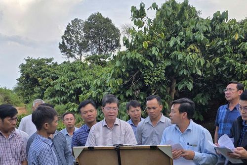 Phó Chủ tịch Thường trực UBND tỉnh Nguyễn Hồng Hải kiểm tra vị trí đề xuất thực hiện các dự án thủy điện