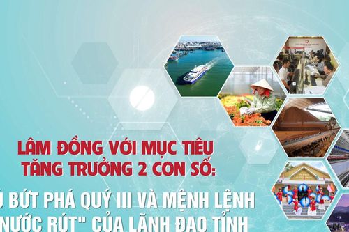 Lâm Đồng hôm nay 03/10