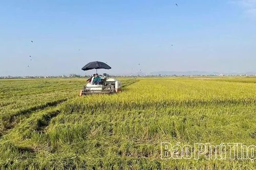 Đưa khoa học kỹ thuật vào trồng trọt