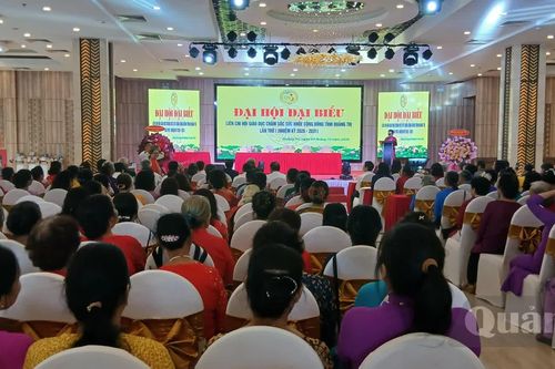 Đại hội Liên chi hội Giáo dục chăm sóc sức khỏe cộng đồng tỉnh lần thứ I, nhiệm kỳ 2026-2031