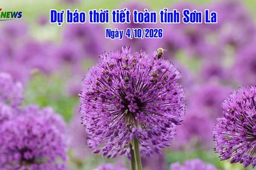 Dự báo thời tiết toàn tỉnh Sơn La ngày 4/10/2026