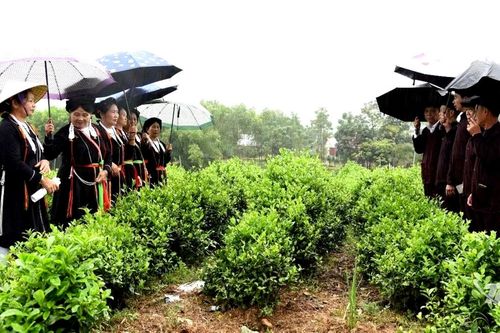 Giữ tiếng hát, giữ hồn văn hóa Sán Dìu