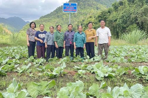 Ra mắt Tổ hội nông dân 'Trồng rau an toàn'
