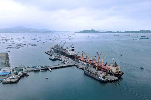 Khánh Hòa: Bến cảng xây mới phải đáp ứng tiêu chí xanh từ năm 2030