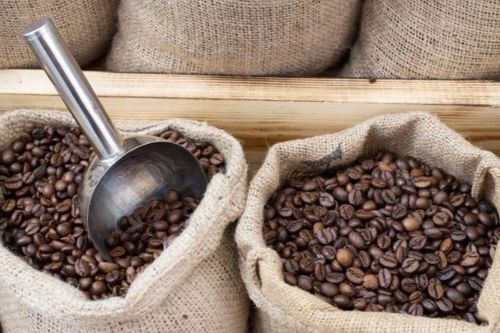 Ngày 3/10: Giá cà phê đảo chiều giảm, hồ tiêu ở mức 140.500 đồng/kg
