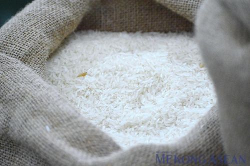 FAO: Chỉ số giá gạo thế giới tăng nhẹ trong tháng 9/2026