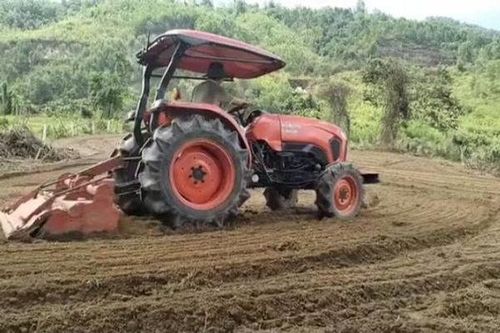 Đà Nẵng tạo giá trị kinh tế nông nghiệp qua số hóa nhà vườn