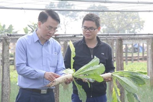 Phú Thọ tạo động lực mới cho phát triển kinh tế vùng đồng bào dân tộc thiểu số