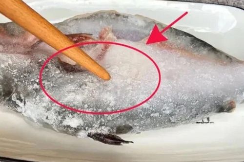 Rã đông cá đừng cho trực tiếp vào nước, thử 2 kỹ thuật này, cá nhanh mềm lại giữ vị tươi ngon