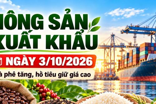 Nông sản xuất khẩu 3/10: Cà phê tăng trên sàn London, hồ tiêu giữ giá cao