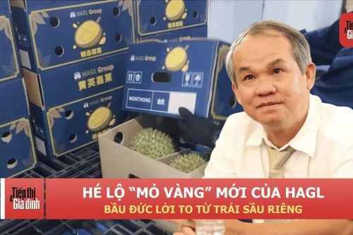 Hé lộ 'mỏ vàng' mới của HAGL: Bầu Đức lời to từ trái sầu riêng