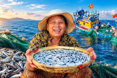 Trúng đậm luồng cá cơm dày đặc áp bờ, làng chài Gia Lai sôi động ngày đêm