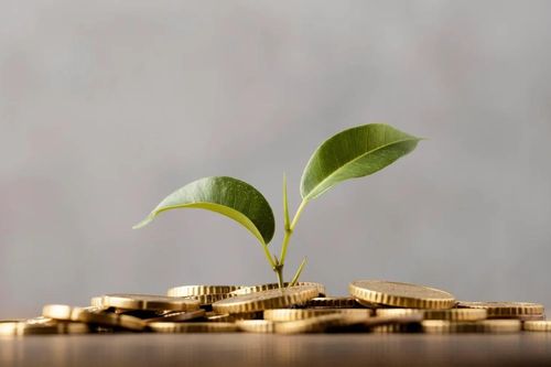Tiền lãi có thực sự cần thiết?