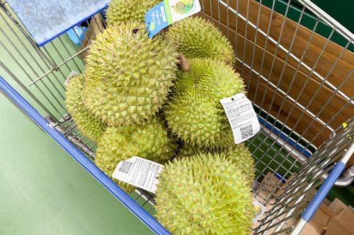 Sầu riêng siêu rẻ, giá chỉ vài chục nghìn đồng/kg