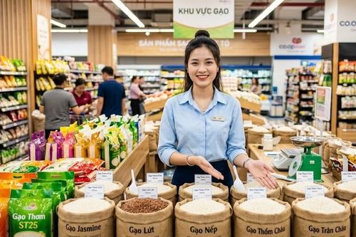 Giá lúa gạo hôm nay 4.10.2026: Chưa có tín hiệu tăng mới