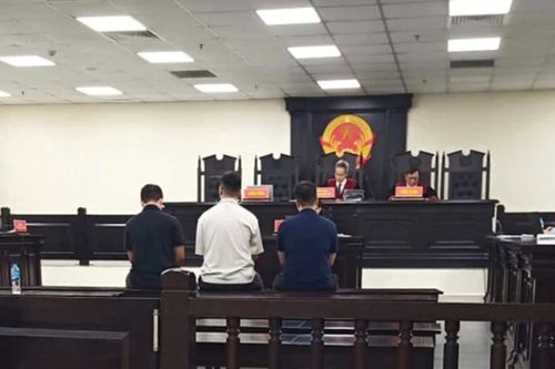 Góp 14 triệu đồng mua ma túy mừng sinh nhật rồi đổi ý, 3 người được hủy án
