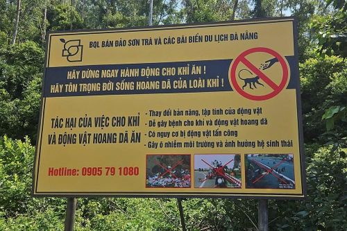 Nghiêm cấm cho động vật hoang dã ăn tại bán đảo Sơn Trà