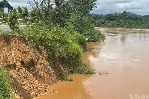 Cảnh báo lũ trên sông Đồng Nai; gió mạnh, sóng lớn và mưa dông trên biển