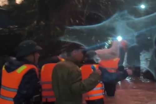 [Video] Lâm Đồng: Mưa lớn khiến nhiều hộ dân, du khách phải sơ tán, hơn 300 ha cây trồng bị thiệt hại