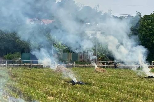 Hà Nội vào mùa gặt, nỗi lo ô nhiễm không khí do đốt rơm rạ