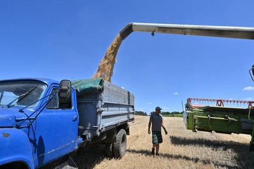 Tình đoàn kết của EU-Ukraine gặp thách thức, Kiev khó tìm đường ra cho ngũ cốc