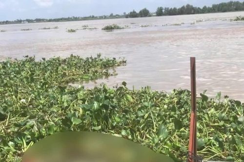 Phát hiện thi thể nữ giới trôi trên sông Tiền