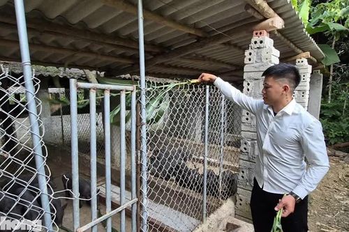 Vực dậy nhờ Nghị quyết 21