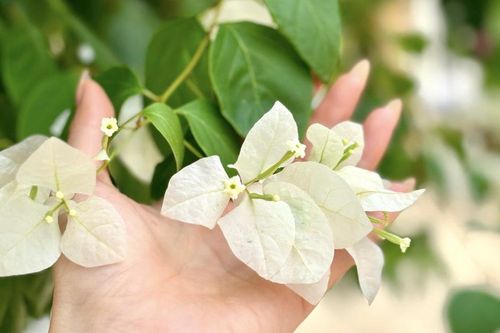 Nỗi ám ảnh của người vợ mỗi khi được chồng... ôm