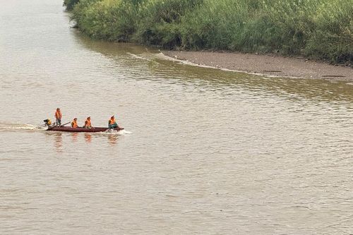 Một kiểm lâm viên mất tích trên sông Hồng