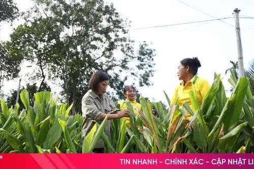 'Xanh hóa' OCOP – mở đường để sản phẩm Hà Tĩnh ra thị trường lớn