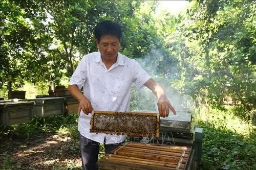 Những sáng kiến khoa học nâng tầm nông sản Việt