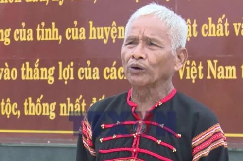 Những 'cây đại thụ' giữa đại ngàn Tây Nguyên