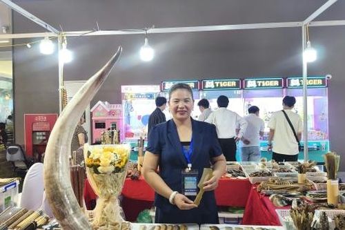 Hưng Yên: Kinh tế tập thể đẩy mạnh ứng dụng công nghệ, hướng tới sản xuất bền vững