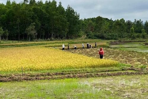 Bất ngờ bị yêu cầu nộp thêm tiền sử dụng đất, người dân cần làm gì?