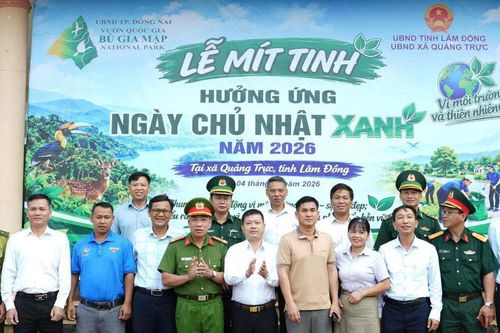 Quảng Trực ra quân hưởng ứng Ngày Chủ nhật xanh