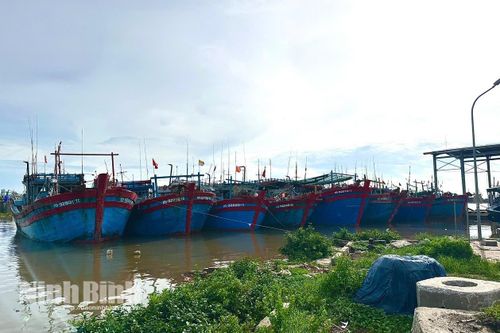 Chủ động ứng phó với không khí lạnh, mưa lớn và gió mạnh trên biển