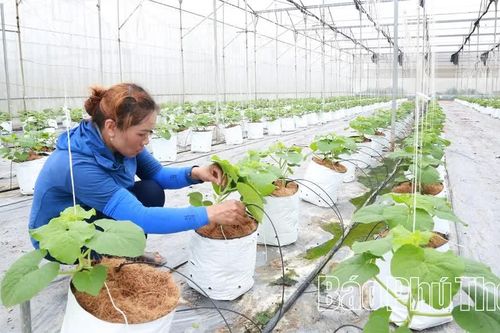 Vĩnh Yên phát huy sức mạnh khoa học công nghệ