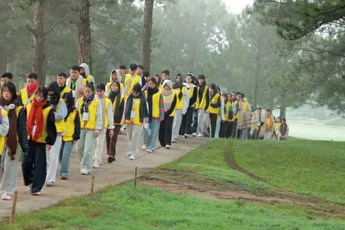 Lâm Đồng: Chùa Tâm Ấn tổ chức Khóa tu mùa Đông 'Tâm an giữa ngàn thông'