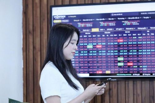 Nâng chuẩn quản trị và báo cáo tài chính để tăng khả năng hút vốn