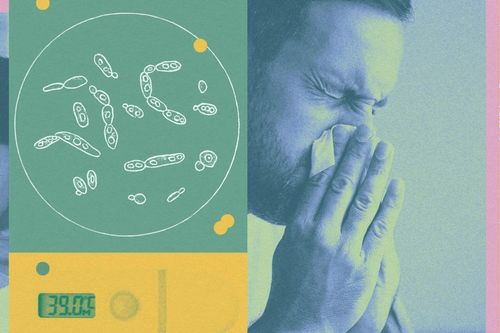 Mùa thu, 5 loại virus dễ gia tăng và cách tự bảo vệ