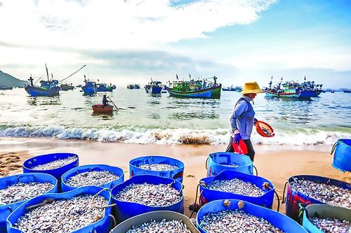 Mở không gian biển để dòng vốn ra khơi