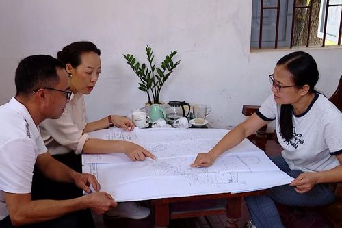 Yêu cầu hoàn tất rà soát đất nông, lâm trường trong tháng 10/2026