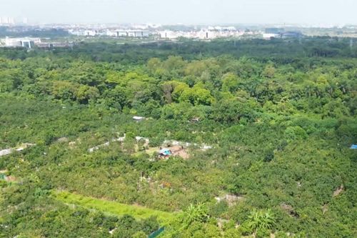 Đẩy nhanh GPMB dự án Khu Công viên công nghệ số