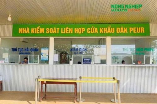 Định hướng phát triển cửa khẩu xanh, logistics xanh gắn với thương mại nông sản