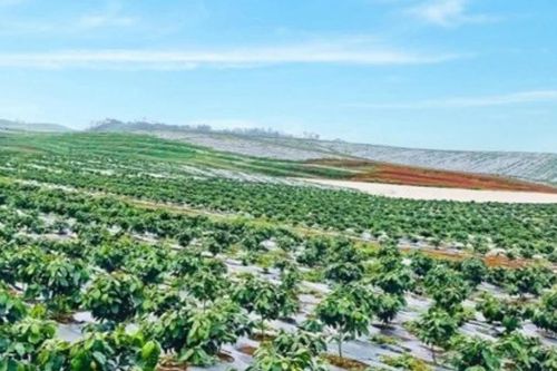 Hoàng Anh Gia Lai hoàn tất chào bán 18,8 triệu cổ phiếu lần đầu ra công chúng