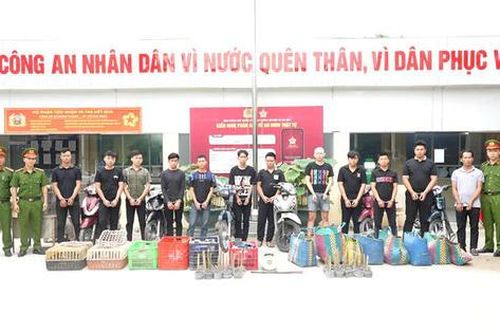Khởi tố 12 đối tượng trong đường dây bắt trộm và tiêu thụ khoảng 2.700 con mèo các loại