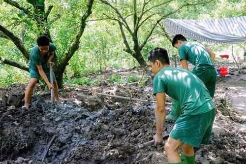 Đồng Tháp quy tập 16 bộ hài cốt liệt sĩ trong vườn cây ăn trái của người dân