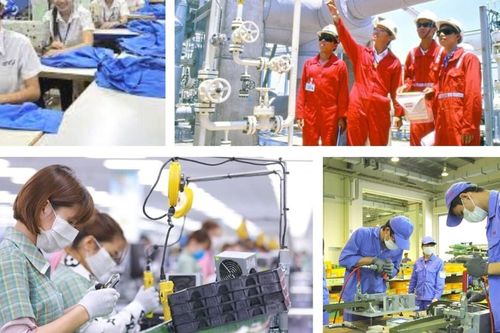 Công khai toàn bộ kết quả xử lý kiến nghị của doanh nghiệp trên Cổng TTĐT Chính phủ